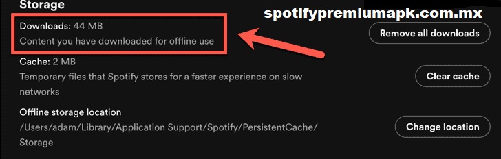 Cómo-eliminar-todas-las-descargas-en-Spotify-desktop?