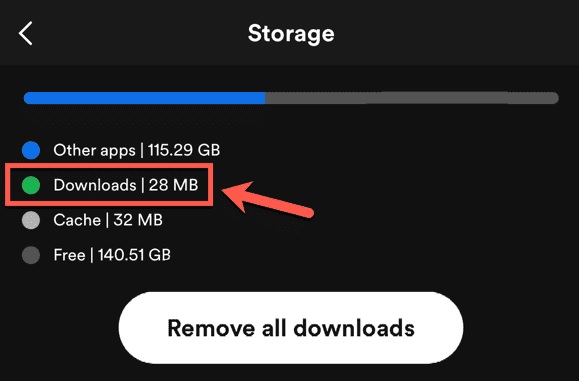 Cómo-eliminar-archivos-de-Spotify-sin-conexión-en-el-móvil?