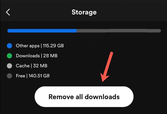 Cómo-eliminar-archivos-de-Spotify-sin-conexión-en-el-móvil?