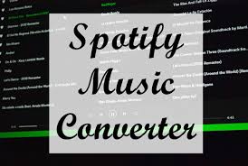 Cómo-Descargar-tus-Playlists-de-Spotify-como-MP3?